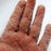 Explosive Hook Fish Net. - vital gadget