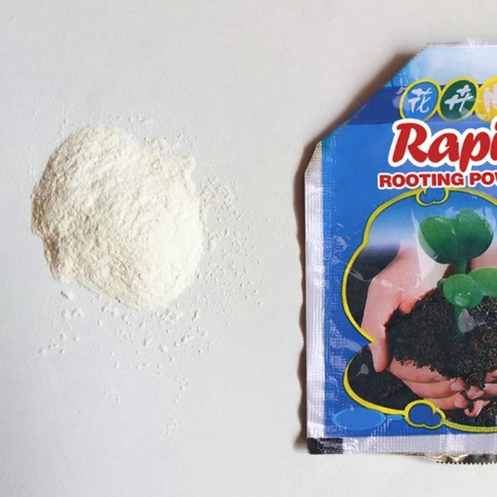 Rapid Rooting Powder (6 PACKS) - vital gadget