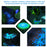 100Pcs Glow Stones - vital gadget