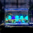 100Pcs Glow Stones - vital gadget